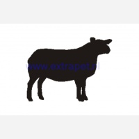 texelschaap